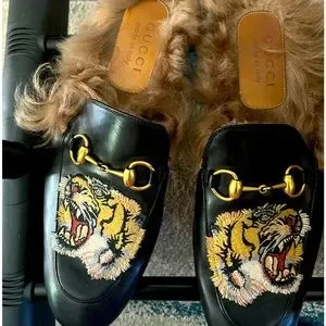 Gucciブラック Princetown Classic ローファー Gucci Men's Princetown Fur Tiger Embroidered Black Leather